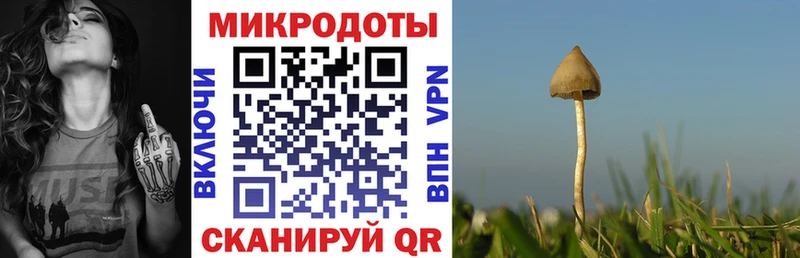 где купить наркоту  Кудрово  Псилоцибиновые грибы ЛСД 