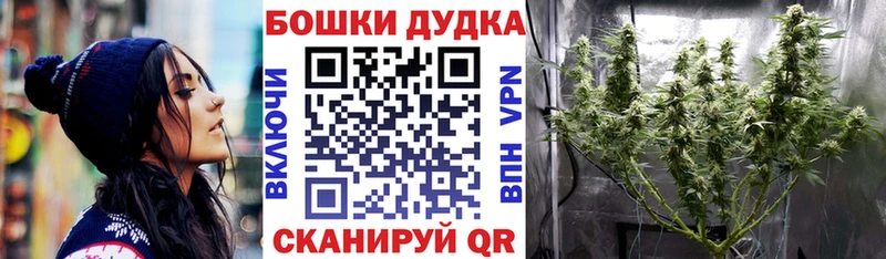 Каннабис тримм  как найти наркотики  Кудрово 